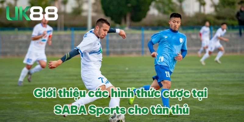 SABA Thể Thao - Sảnh Cược Thể Thao Top 1 Châu Á Năm 2025 4 Giới thiệu các hình thức cược tại SABA Sports cho tân thủ